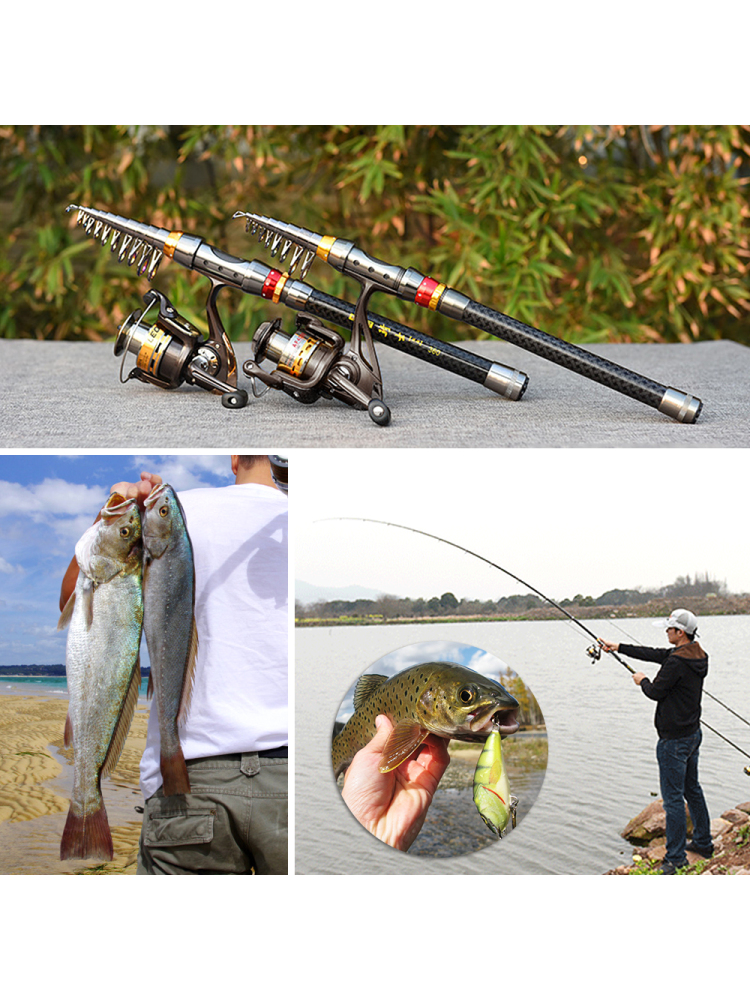 Fishing Rod Spinning Reel Comb - Fishing Lure Jig บทวิจารณ์และราคา